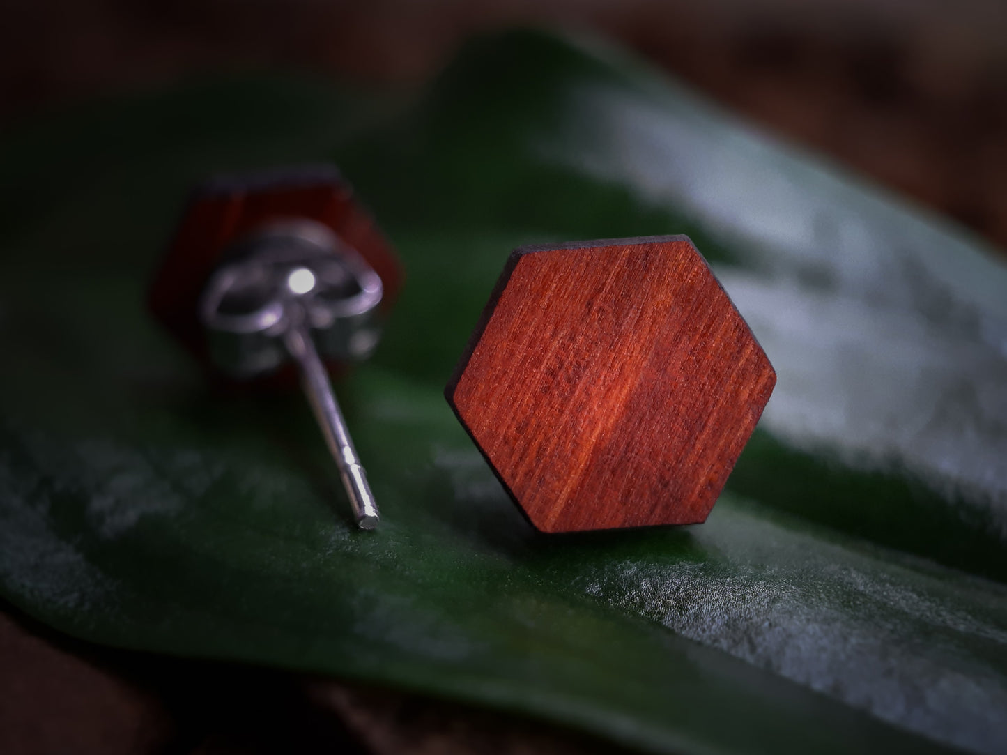 Houten Oorknopjes | Hexagon | Padoek